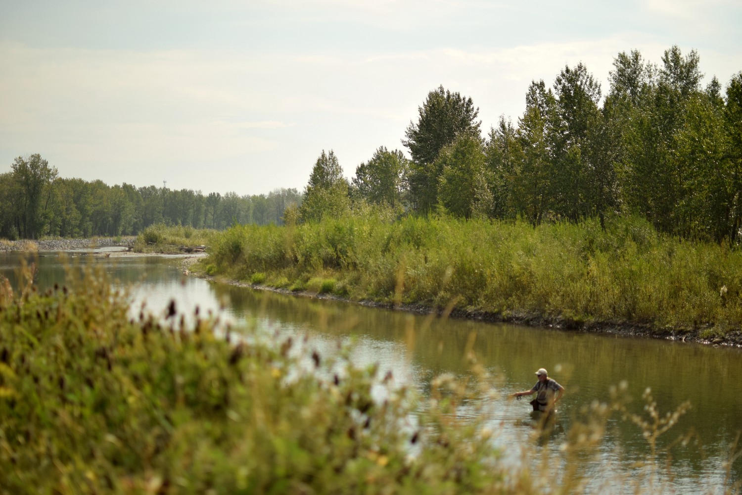 Special air quality statement issued for the Foothills
